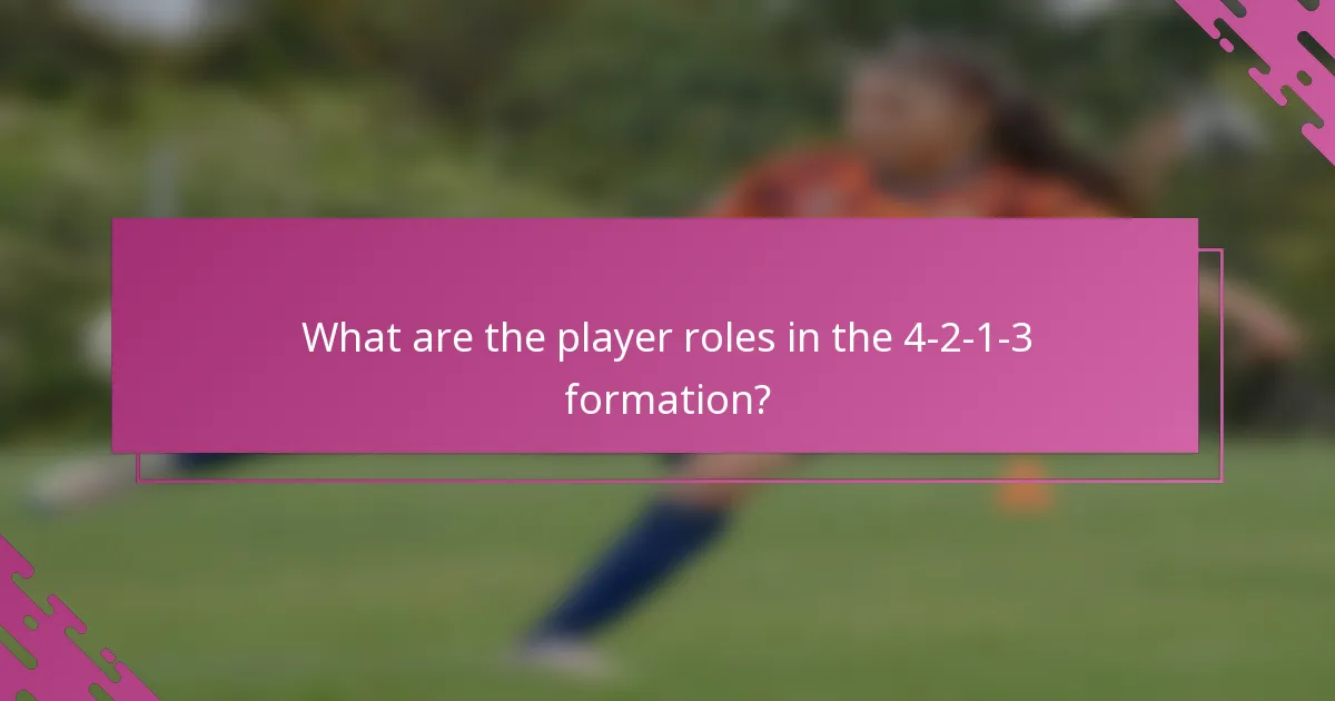 What are the player roles in the 4-2-1-3 formation?