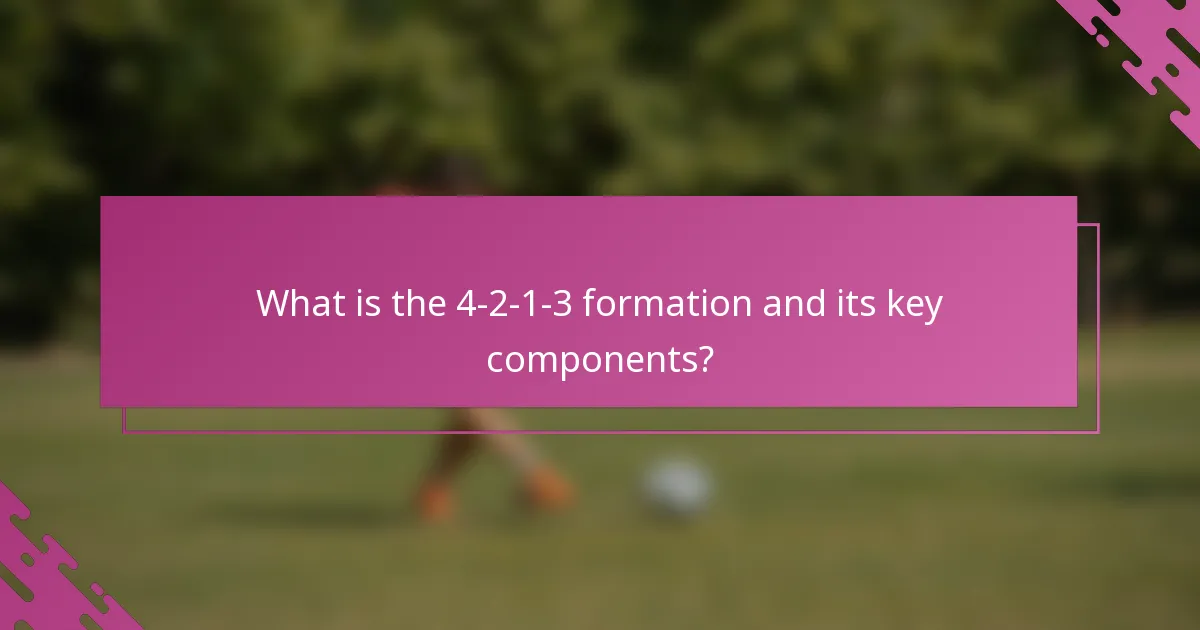 What is the 4-2-1-3 formation and its key components?