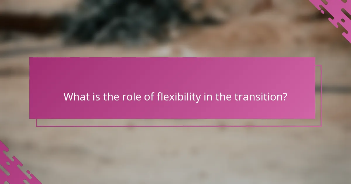 What is the role of flexibility in the transition?