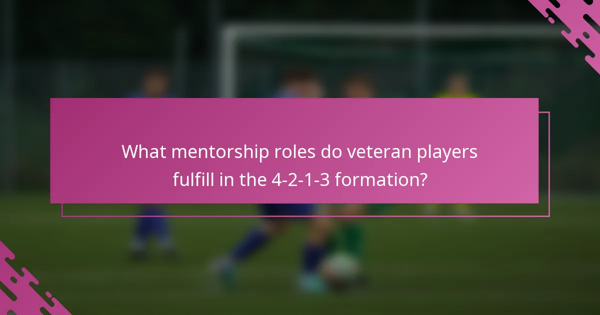 What mentorship roles do veteran players fulfill in the 4-2-1-3 formation?
