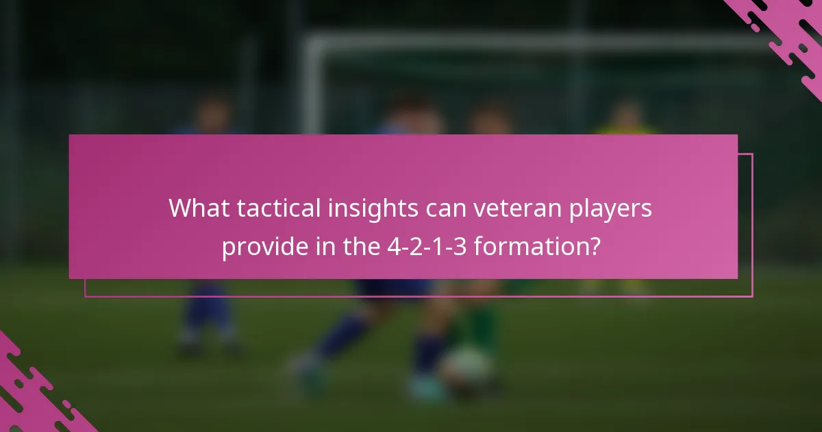 What tactical insights can veteran players provide in the 4-2-1-3 formation?